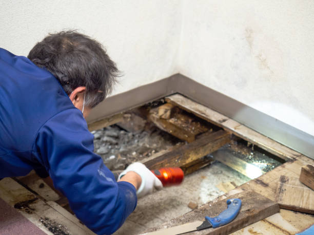 Best Mold Testing  in Winnsboro, SC