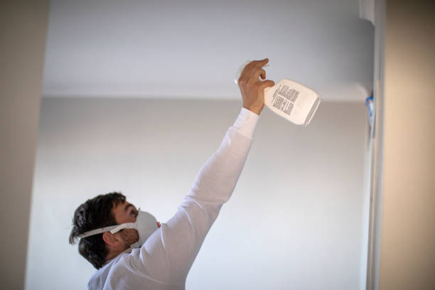 Professional Mold Removal in Winnsboro, SC