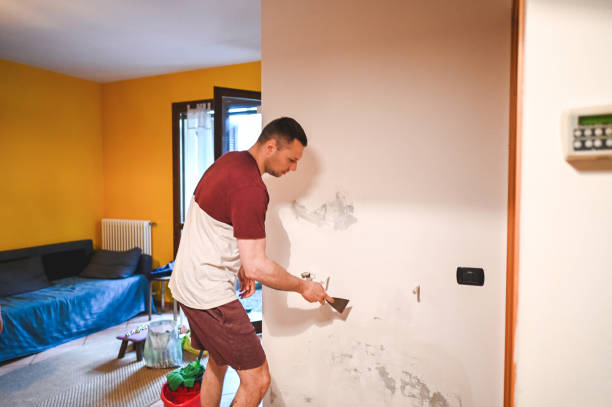 Best Certified Mold Removal  in Winnsboro, SC