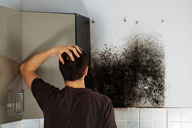 Best Local Mold Removal Service  in Winnsboro, SC